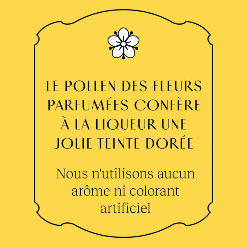 St-Germain Liqueur Française élaborées aux fleurs de sureau, fraîchement  cueillies à la main, sans arômes artificiels, 20 % vol., 50 cl/500 ml :  : Epicerie